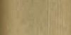 Marabu Bronzepulver S-184 | Bleichgold Marabu Farben-Frikell WTB