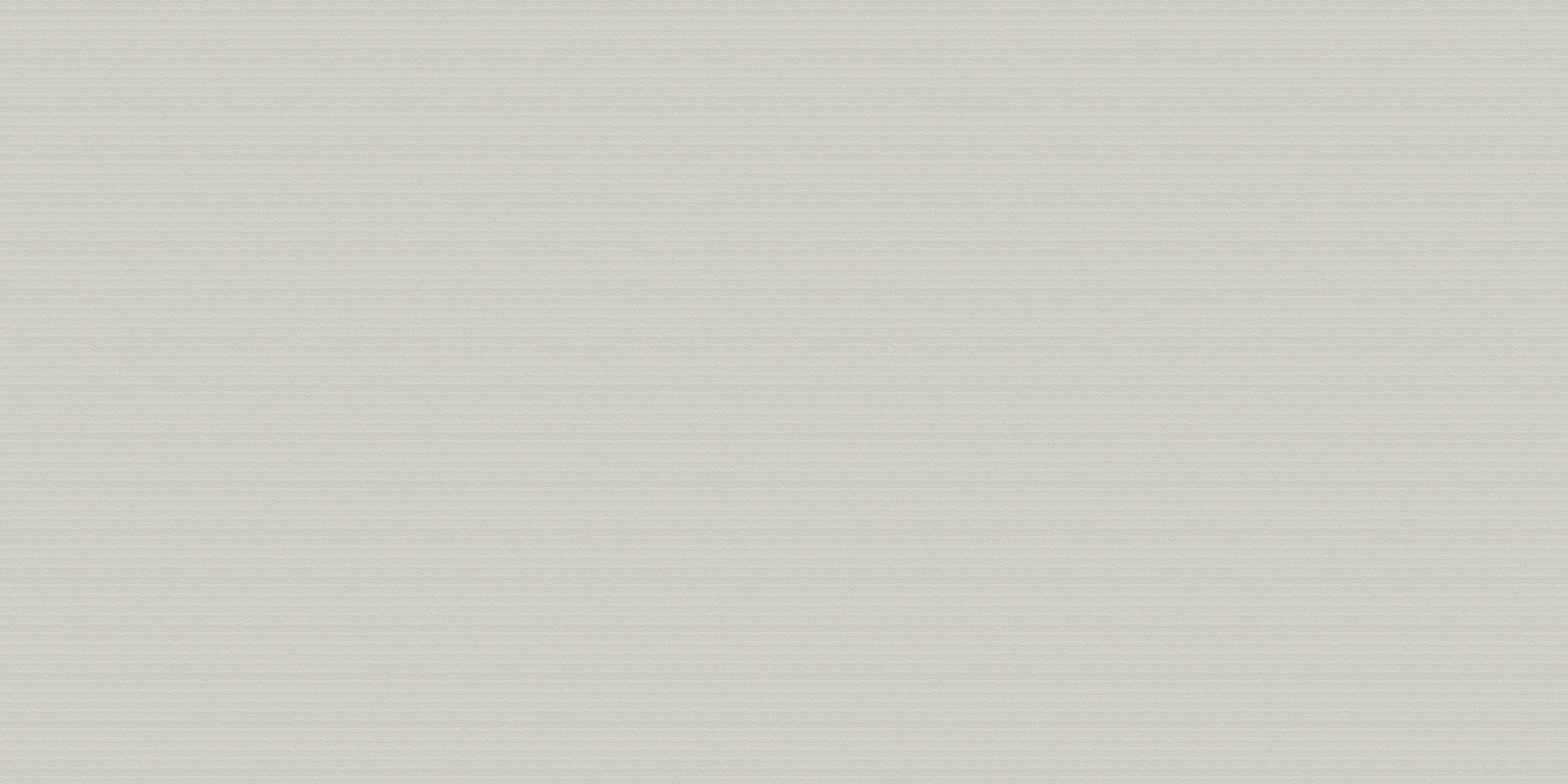 Newdeco PAINTED TEXTURE PT-908 | seidengrau Newdeco Farben-Frikell WTB