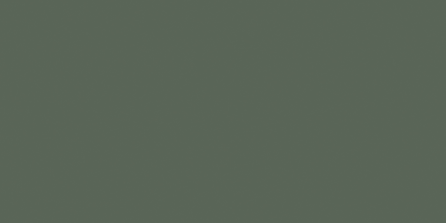 Newdeco MATT COLOUR MC-881 | olivgrün Newdeco Farben-Frikell WTB