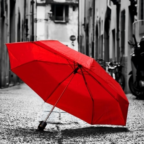 PremiumProtect ASLAN SL 17 ASLAN Farben-Frikell WTB