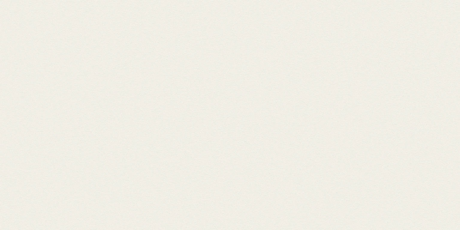 Newdeco COLOUR C-848 | grauweiß Newdeco Farben-Frikell WTB