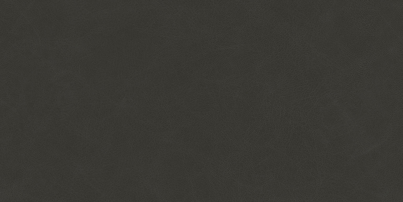 Newdeco LEATHER L-519