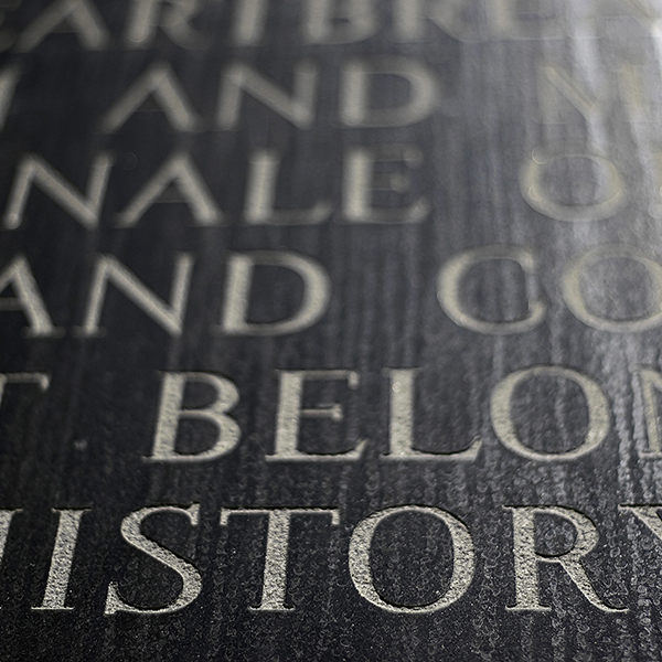 Sandblast 330 ASLAN S 64 ASLAN Farben-Frikell WTB Sandblast 330 ASLAN S 64 ASLAN Farben-Frikell WTB