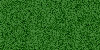 Poli-Flex 483 light green