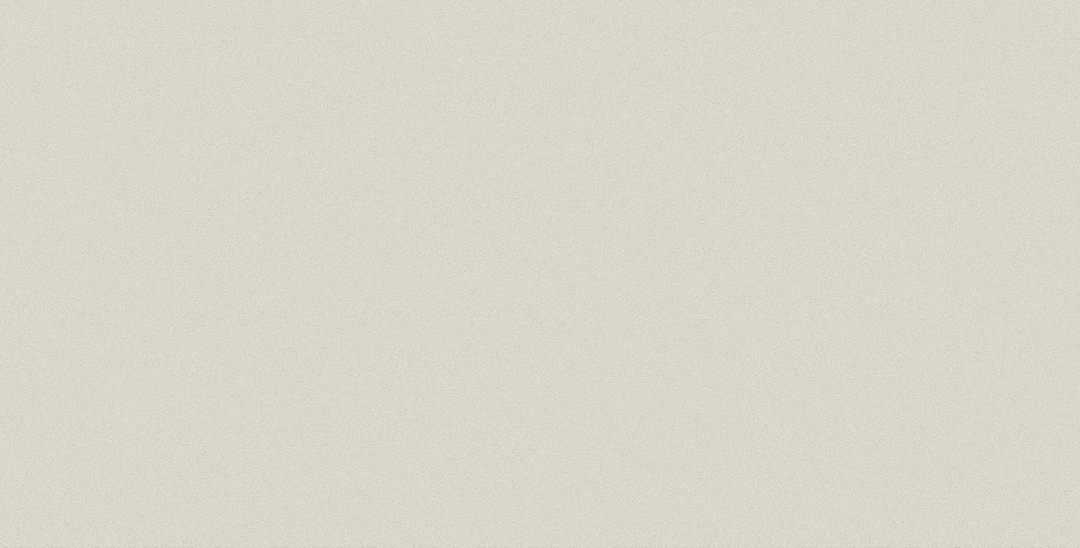 Newdeco STONE S-444 | beigegrau Betonputz Newdeco Farben-Frikell WTB