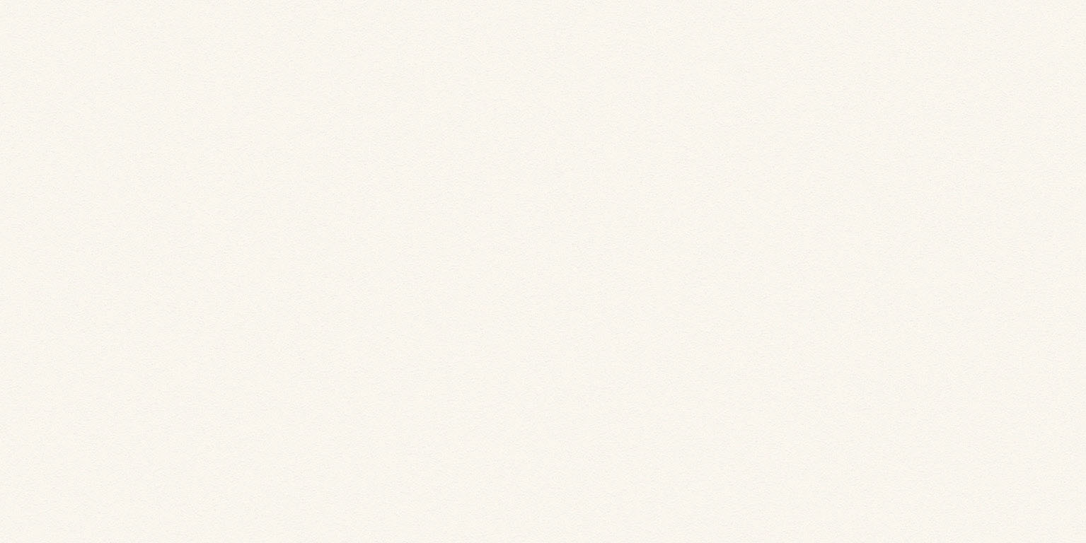 Newdeco EXTERIOR EX-470 | weiß Newdeco Farben-Frikell WTB