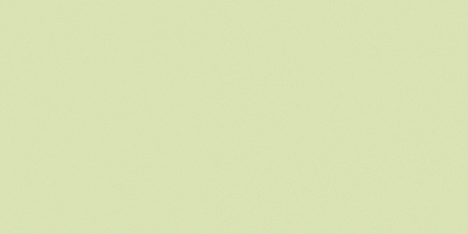 Newdeco COLOUR C-855 | weißgrün Newdeco Farben-Frikell WTB